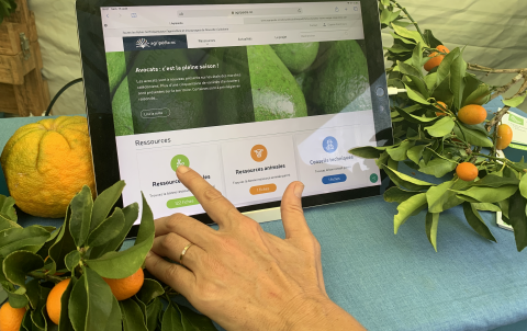 Agripédia est consultable sur ordinateur, tablette et smartphone.