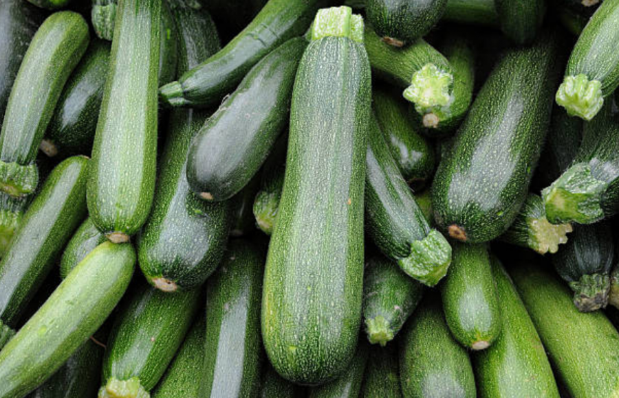 Bac de courgettes