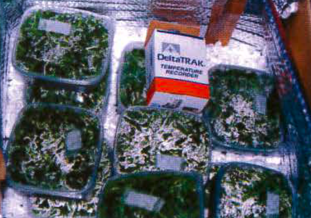 Lot de vitroplants et contrôleur e température ©IAC - F. Madembasy
