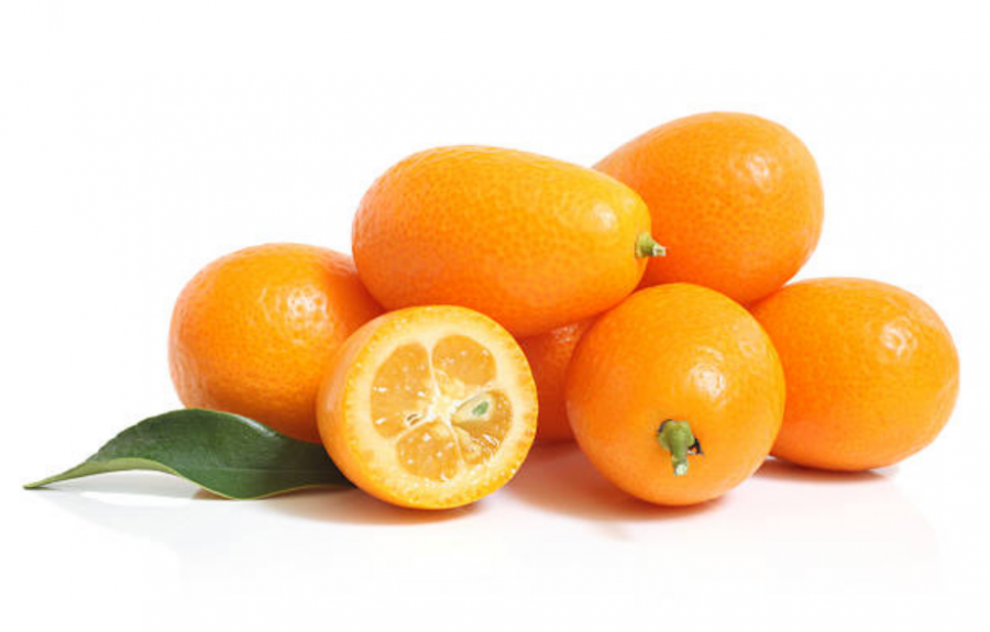 Kumquat 