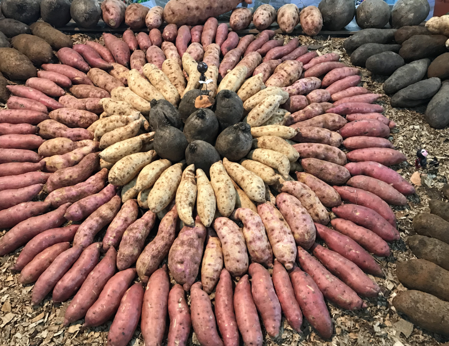 Stockage des patates douces — Wikipédia