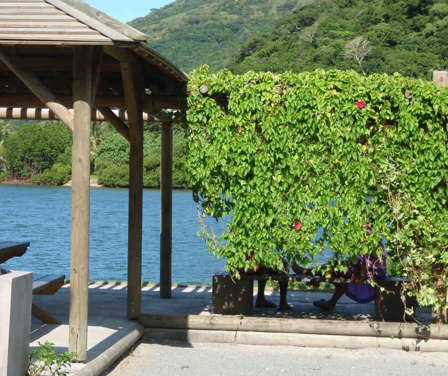 Vue d'ensemble en pergola à Hienghène ©IAC - G. Gâteblé