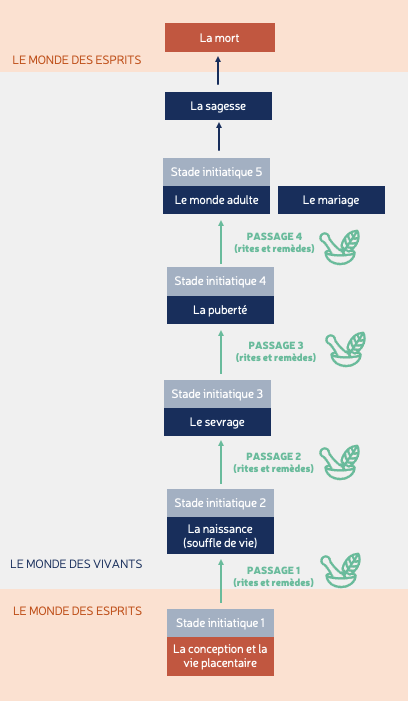 Les grandes étapes chez les kanak © Lincks 