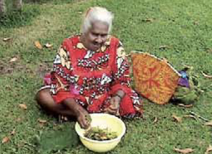 Préparation traditionnelle de l'Aenesheba (fortifiant pour les enfants) © IRD