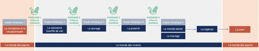 Les différentes étapes de la vie d'un homme ou d'une femme kanak © Lincks