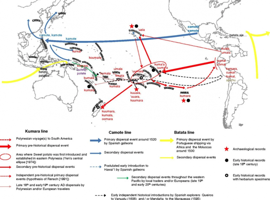 Dispersion de la patate douce en Océanie par Green and Clarke (3)