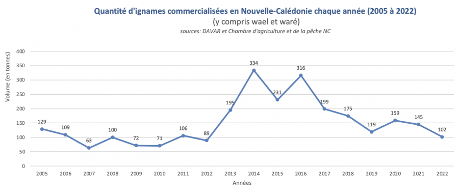 Quantité d'ignames commercialisées en Nouvelle-Calédonie entre 2005-2022, source Davar et CAPNC