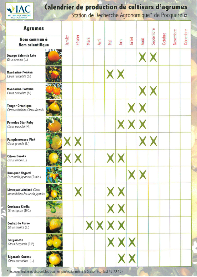 Calendrier de production des agrumes en Nouvelle-Calédonie © IAC